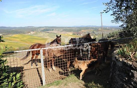 h.835236.550.355.0.0.wm_.0afbcbd2