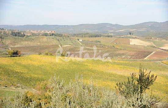 h.835237.550.355.0.0.wm_.2024c618