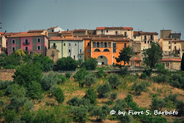 Focus immobiliare: il Molise, una terra unica di paesaggi, storia e tradizioni (tabelle)