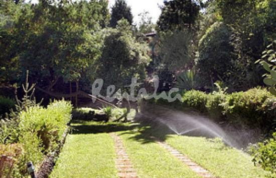 La bce taglia i tassi di interesse allo 0,75%, ma draghi delude i mercati