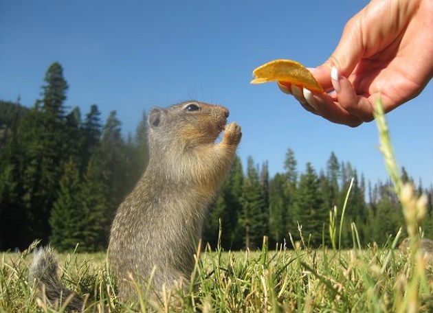 Nomisma: la ripresa dei mutui è vicina. Nel secondo semestre 2013 riparte l'immobiliare?