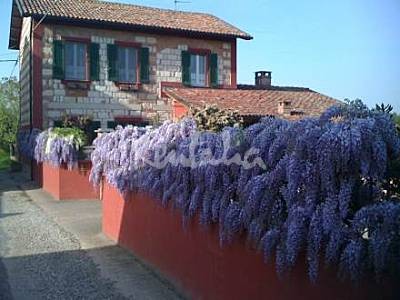 h.2085036.400.300.0.666666.wm_.7015e406