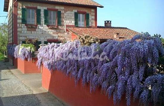 h.2348149.550.355.0.666666.wm_.d9b0a49d