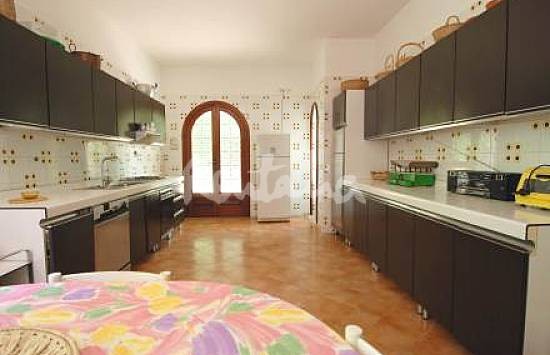 h.2365167.550.355.0.666666.wm_.0ce44e57_0