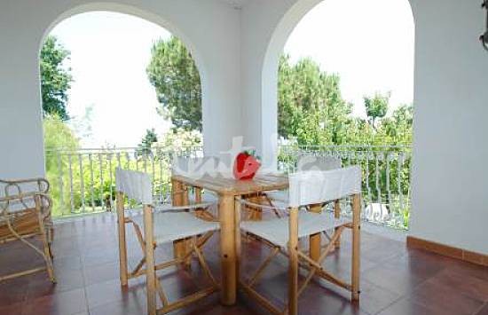 h.2365170.550.355.0.666666.wm_.2095d407_0