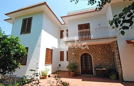 h.2365171.550.355.0.666666.wm_.61769535_0