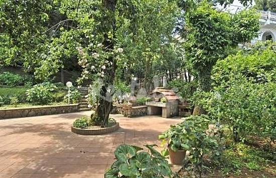 h.620026.550.355.0.666666.wm_.28aec271_0