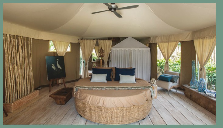 Casa da sogno: un'esplosione di luci e colori nella lussureggiante terra sudafricana