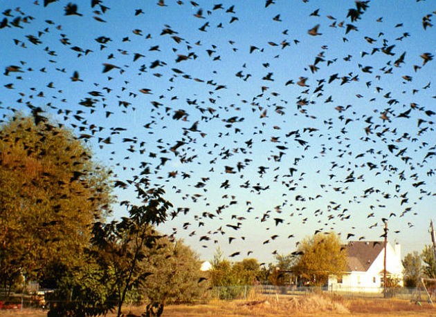 Compravendite e mutui 2012: l'anno nero del mercato immobiliare (scarica rapporto pdf)