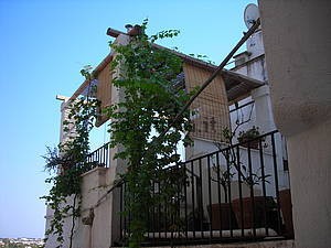 VW0000001445020_16_1329346371931