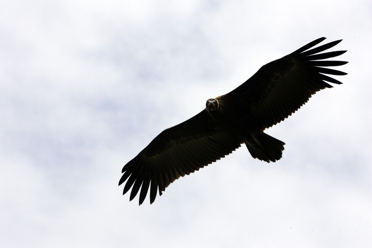 In arrivo la stangata sulle seconde e terze case sfitte