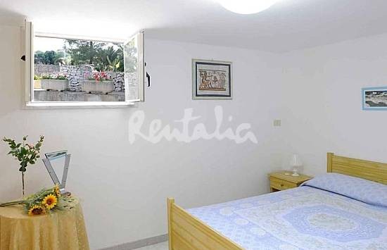 h.2203072.550.355.0.666666.wm_.ce8b9e8f