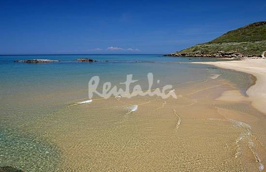 h.2286599.550.355.0.666666.wm_.bb12e4ad