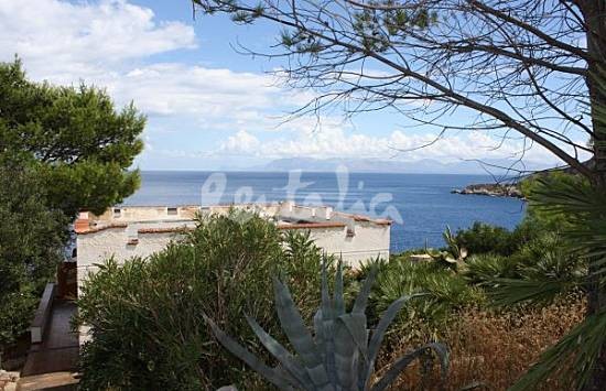 h.2298634.550.355.0.666666.wm_.8c80f9a2