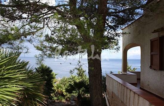 h.2298636.550.355.0.666666.wm_.2719e8e4