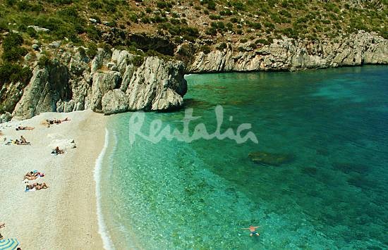 h.2298642.550.355.0.666666.wm_.c8f407f4