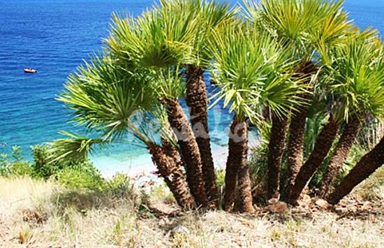 h.2298645.550.355.0.666666.wm_.e74d8e3a