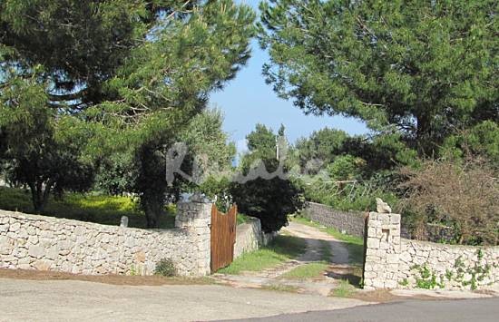 h.2547145.550.355.0.666666.wm_.a01a1485