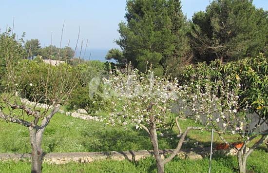 h.2547157.550.355.0.666666.wm_.ddb13d89