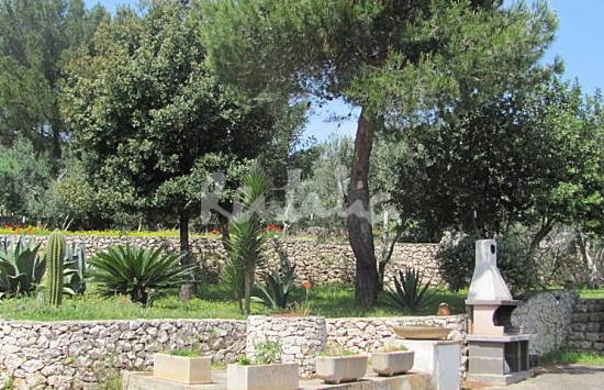 h.2547158.550.355.0.666666.wm_.63acb5b2