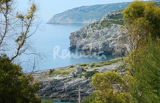 h.2547164.550.355.0.666666.wm_.189ab7a7