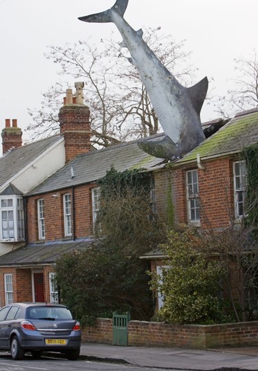 Sharkhouse_2240791k_0