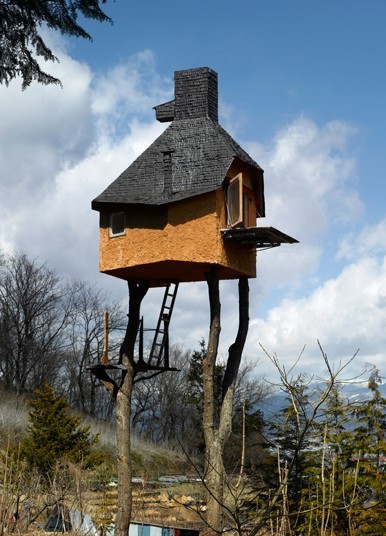 Treeteahouse_2240608k_0