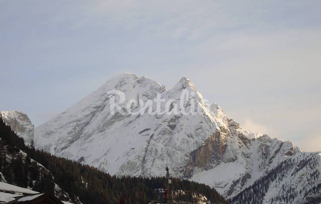 h.2051520.1070.680.0.ffffff.wm_.c05c6035