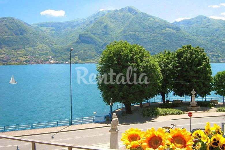 h.2593194.780.520.0.ffffff.wm_.ec8bb4d9