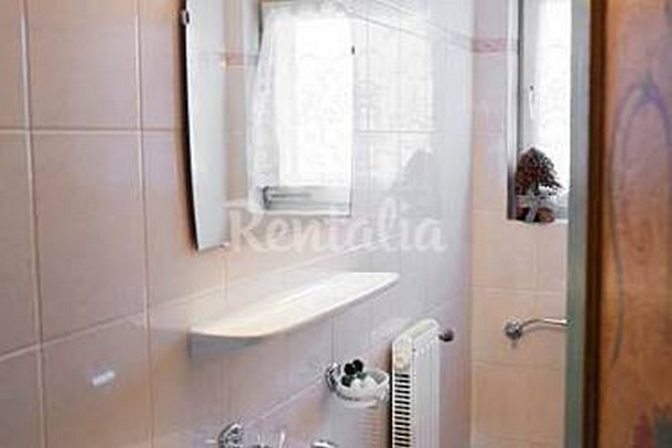 h.2655866.375.250.0.ffffff.wm_.bc6ade65