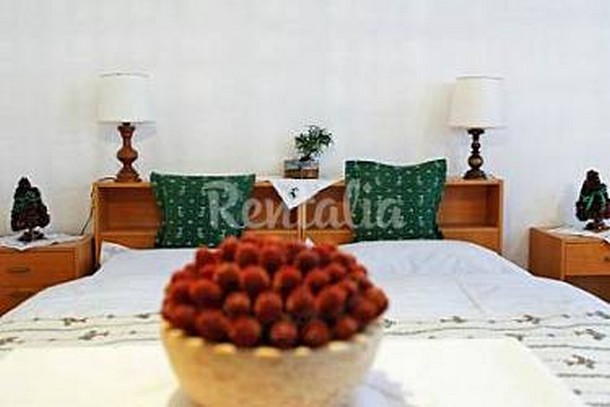 h.2655869.375.250.0.ffffff.wm_.ba3fe950