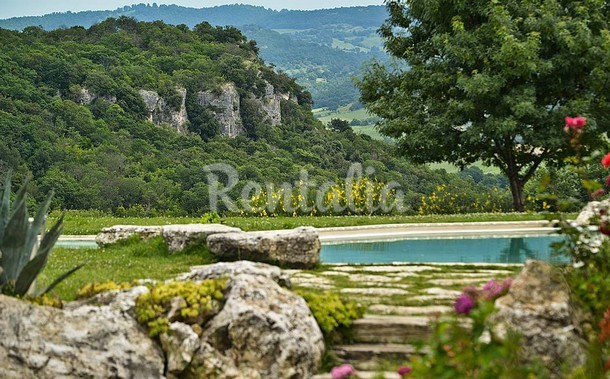 rentalia-saturnia-15