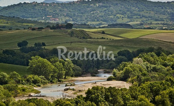 rentalia-saturnia-23