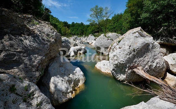 rentalia-saturnia-25