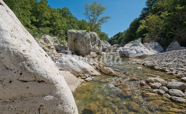 rentalia-saturnia-26
