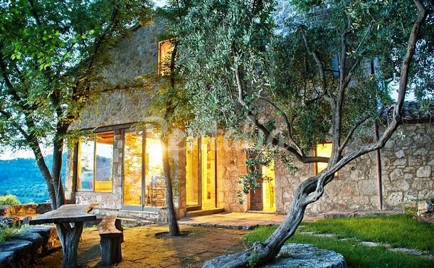 rentalia-saturnia-4
