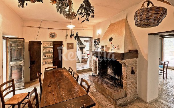 rentalia-saturnia-8