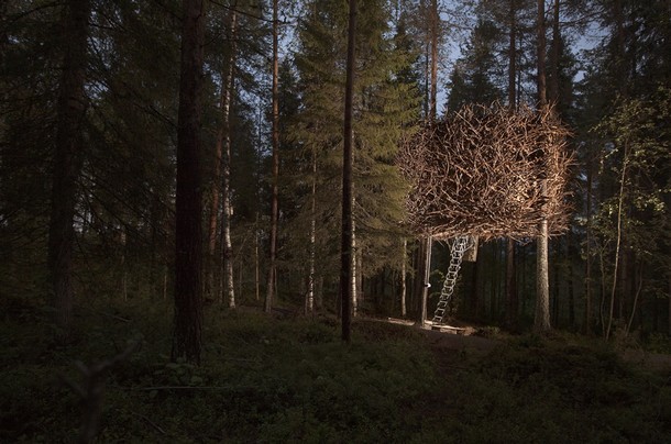 treehotel-birds-nest-4