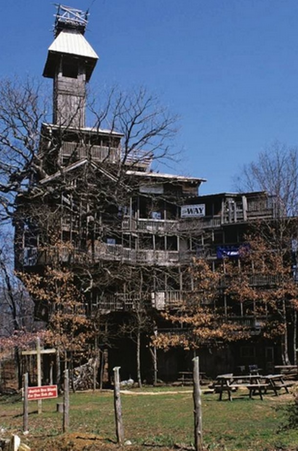 Vivere in cima a un albero: case incredibili tra rami e foglie (fotogallery)