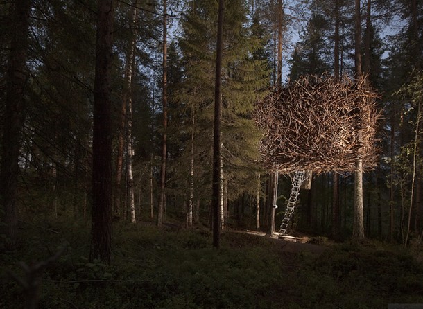 Vivere in cima a un albero: case incredibili tra rami e foglie (fotogallery)