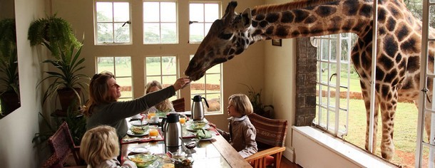 In kenya, nell'hotel "giraffe manor", il safari comincia dalla propria stanza (fotogallery)