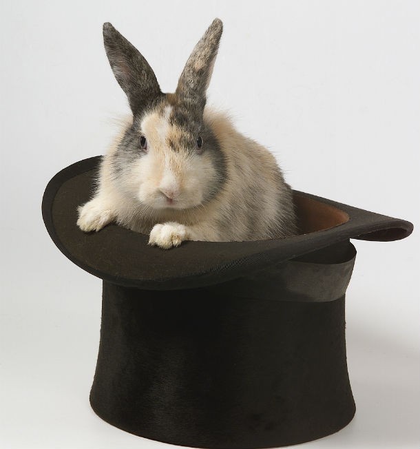 Tutte le novità che hanno rivoluzionato il mondo dell'affitto nel 2014