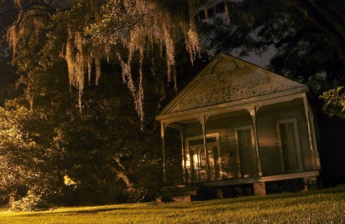 Case di bioedilizia a Roma, tecnologia e sostenibilità in un innovativo progetto a Testaccio