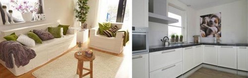 Il cartone, una soluzione creativa per vendere o affittare la vostra casa vuota (foto)