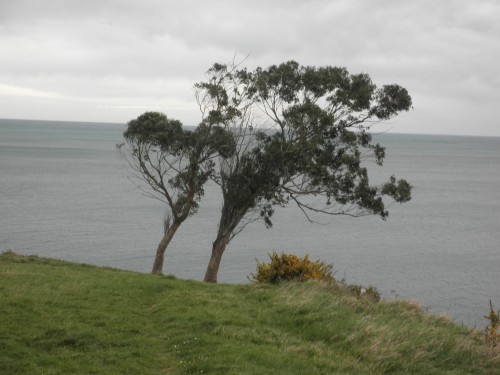 Perché in Italia "le prime case sono inaccessibili, le seconde non sono più un investimento e gli affitti non sono più renumerativi"