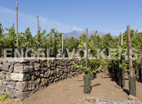 tenuta_simply_red_18