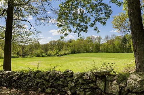 casa_renee_zellweger_13