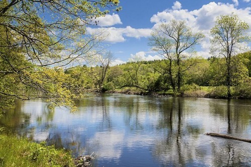 casa_renee_zellweger_15