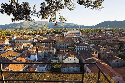 Agenzia immobiliare stagi t., Lucca "in tre anni le compravendite sono calate del 40%"