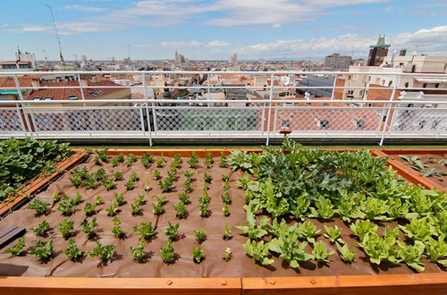 A madrid l’orto urbano più grande del mondo (foto)